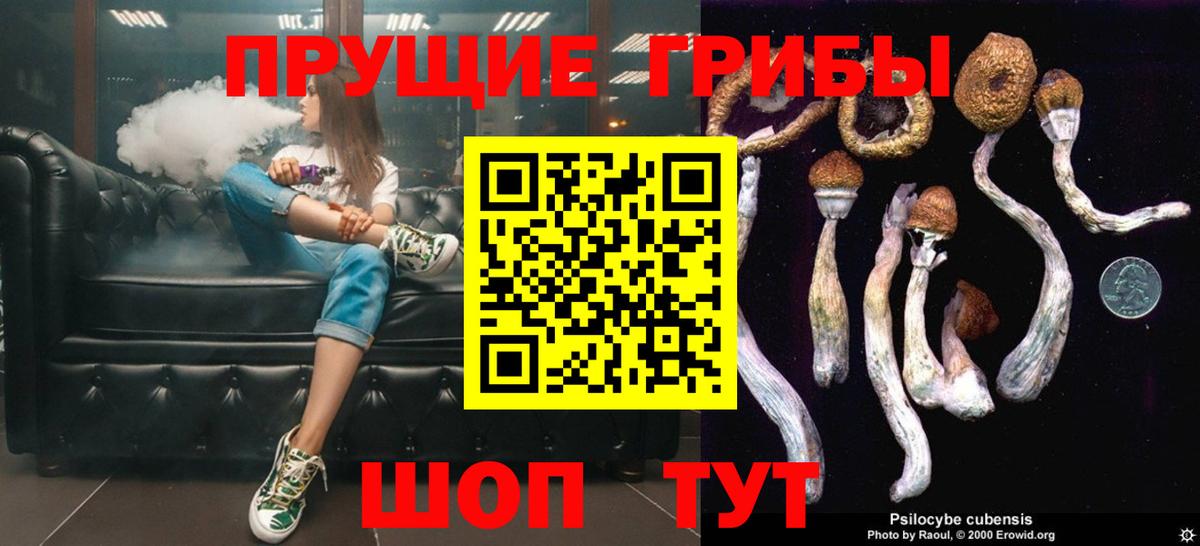 Галлюциногенные грибы Psilocybine cubensis Урус-Мартан
